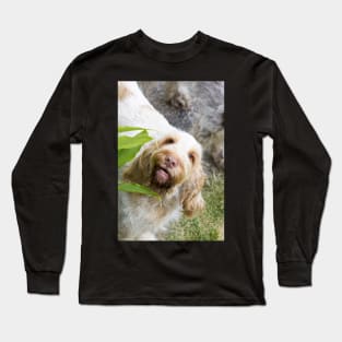 Hey you up there Spinone Long Sleeve T-Shirt